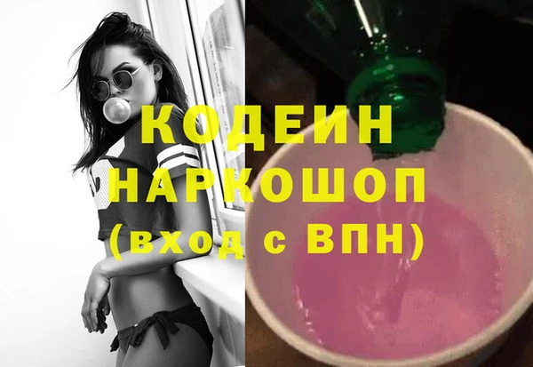 хмурый Аркадак