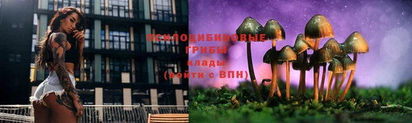 ALPHA PVP Арсеньев