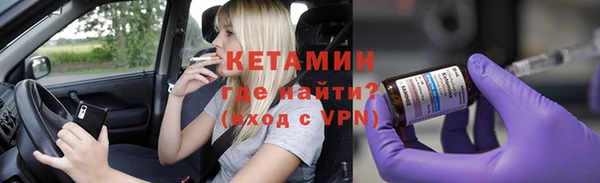 хмурый Аркадак