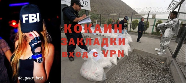 хмурый Аркадак