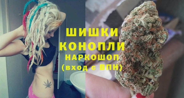 хмурый Аркадак