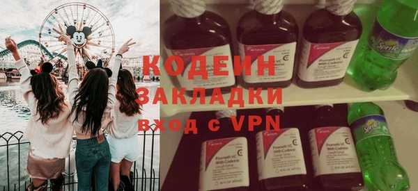 хмурый Аркадак