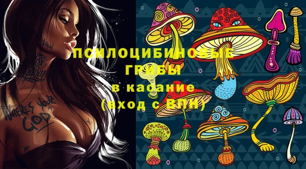 хмурый Аркадак
