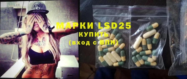 хмурый Аркадак