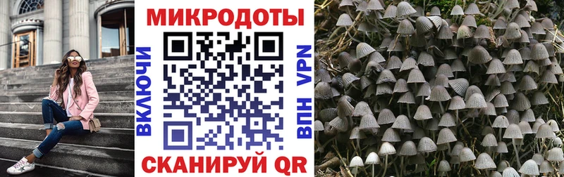 продажа наркотиков  Уварово  Псилоцибиновые грибы GOLDEN TEACHER 